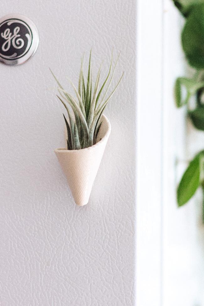 Mini Wall Planter Magnet-zoom-5