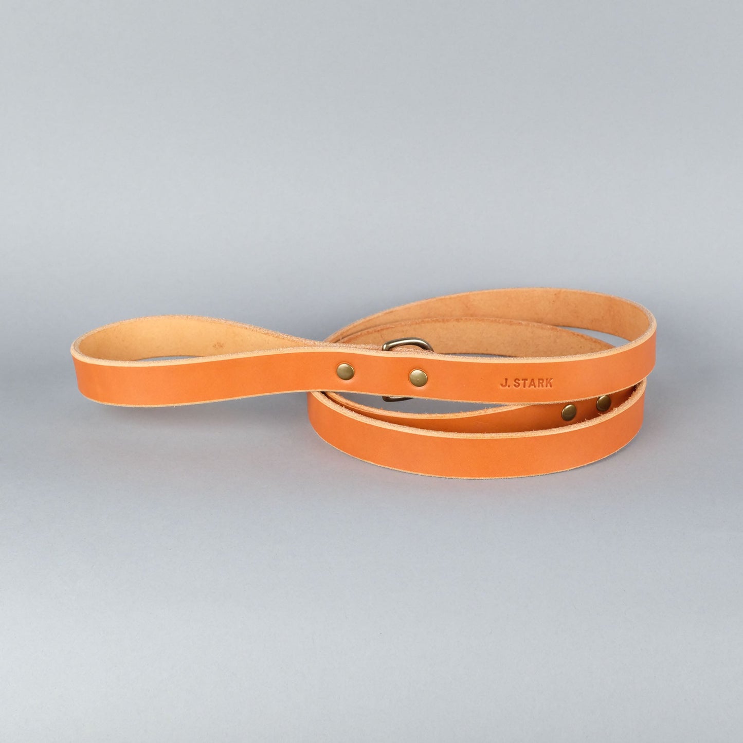 Carter Dog Leash Standard in Tan
