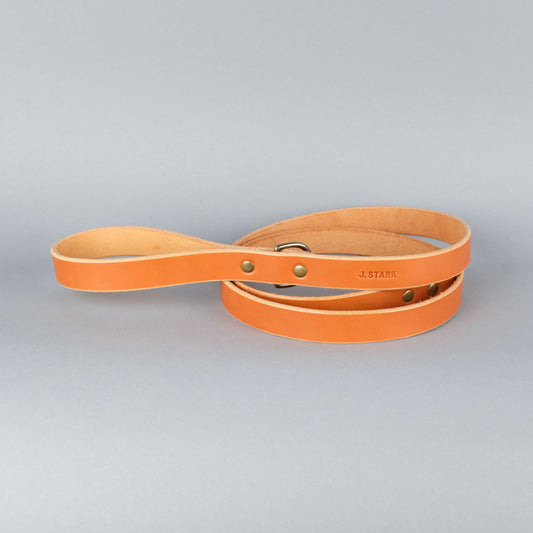 Carter Dog Leash Standard in Tan