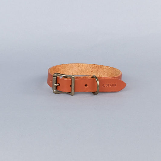 Seymour Standard Dog Collar in Chestnut