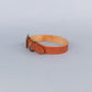 Seymour Standard Dog Collar in Chestnut