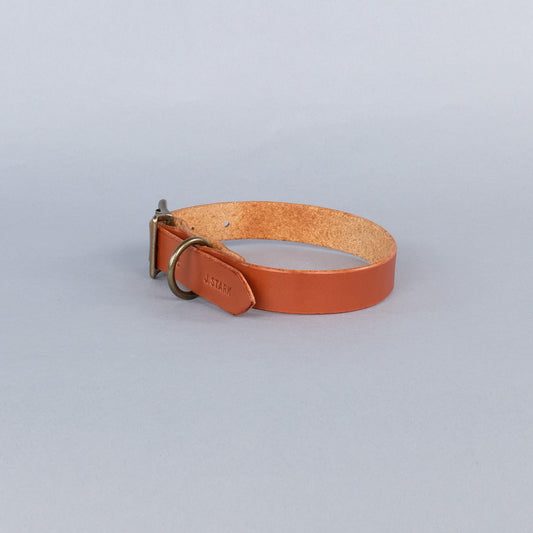 Seymour Standard Dog Collar in Chestnut
