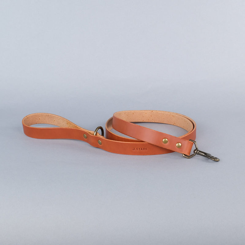 Carter Dog Leash Standard in Chestnut-zoom-