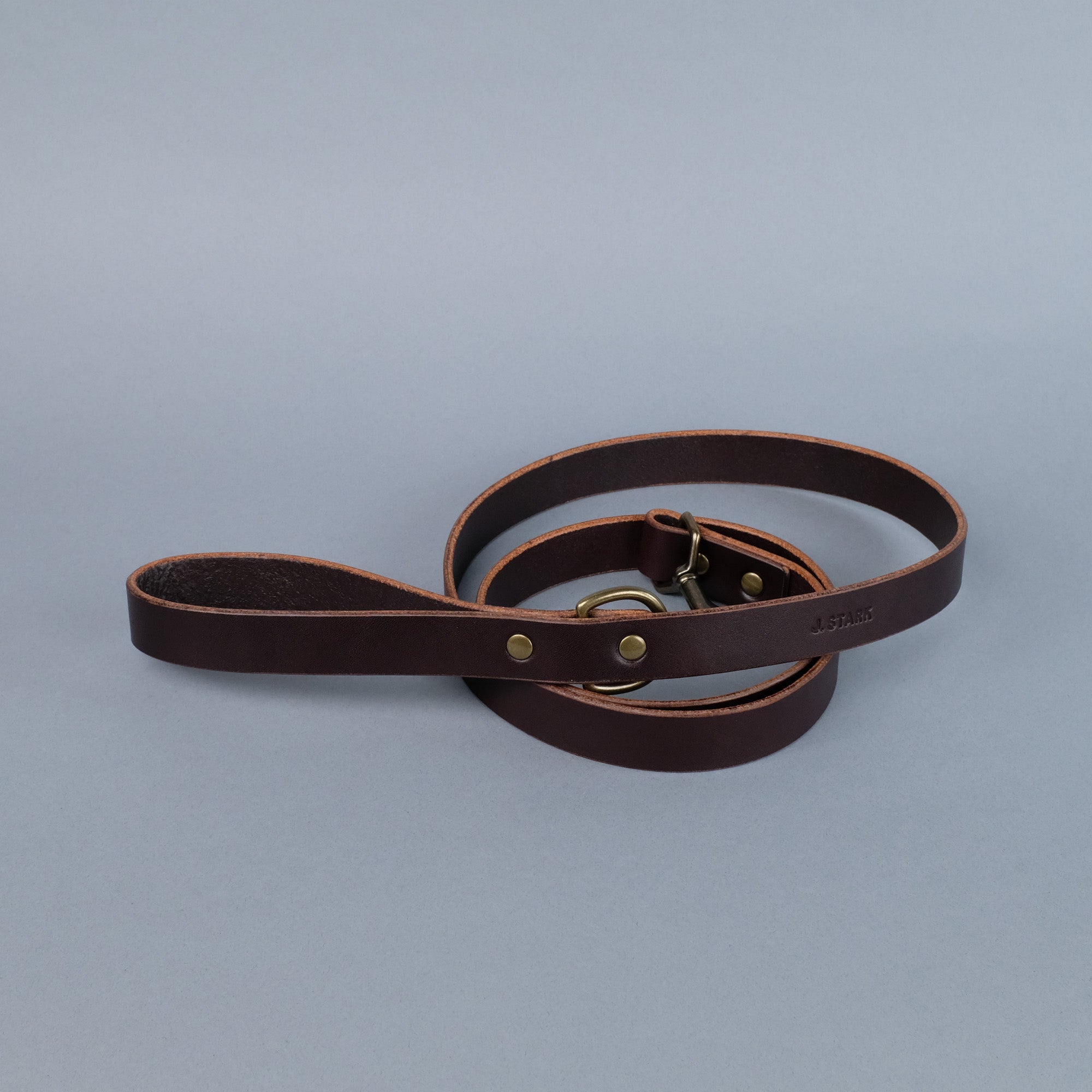 Carter Dog Leash Standard in Dark Brown