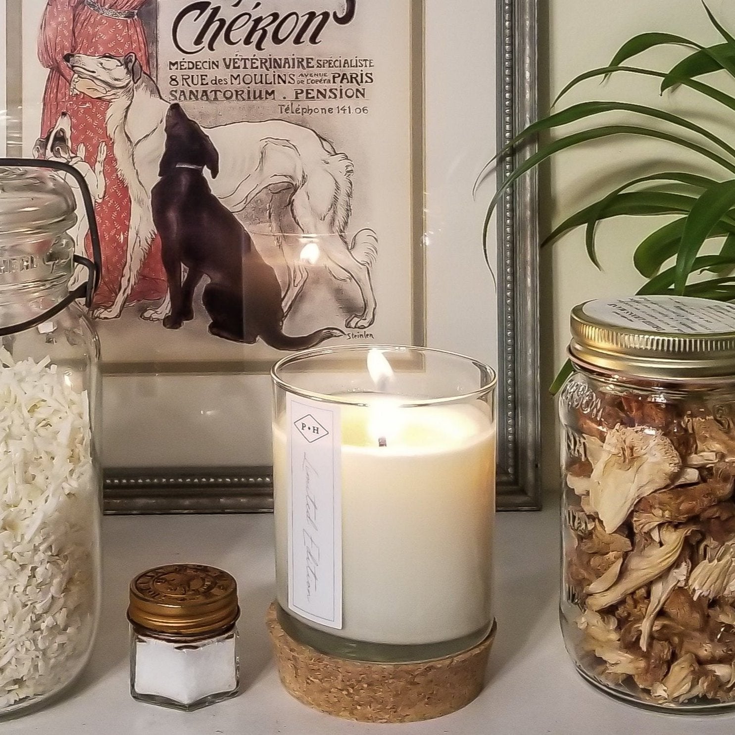 Small Batch Limited Edition Fall + Holiday Candles