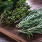 Kitchen Herb Plants Collection Rosemary Oregano Thyme Quart Pots