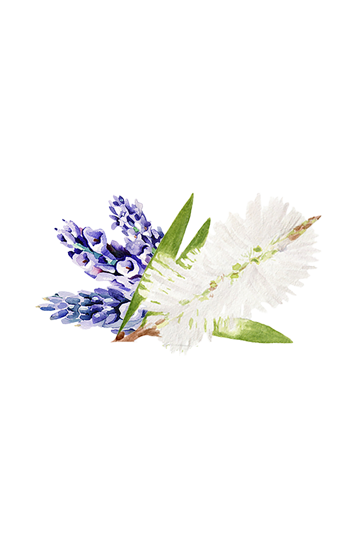 Soothing Shampoo | Lavender & Tea Tree-zoom-2