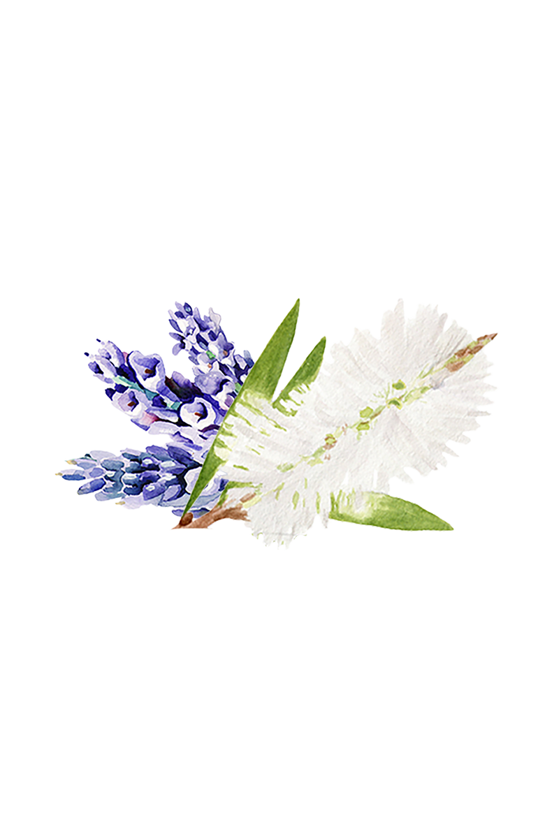 Soothing Shampoo | Lavender & Tea Tree-zoom-