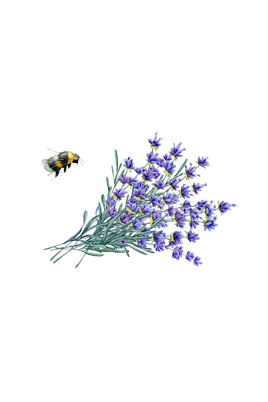 Linen Spray | Lavender - Aware House - Rustic Strength -