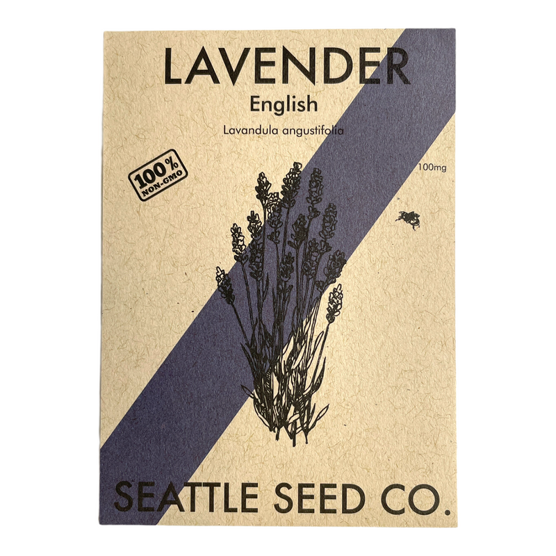 Lavender - English-zoom-