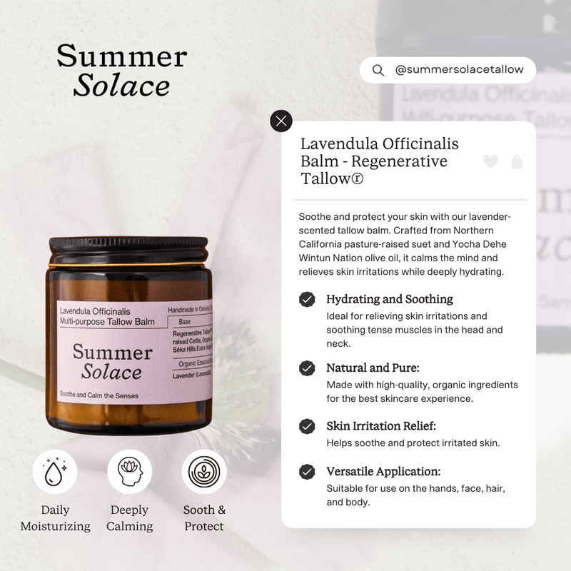 Lavendula Officinalis Tallow Balm-zoom-