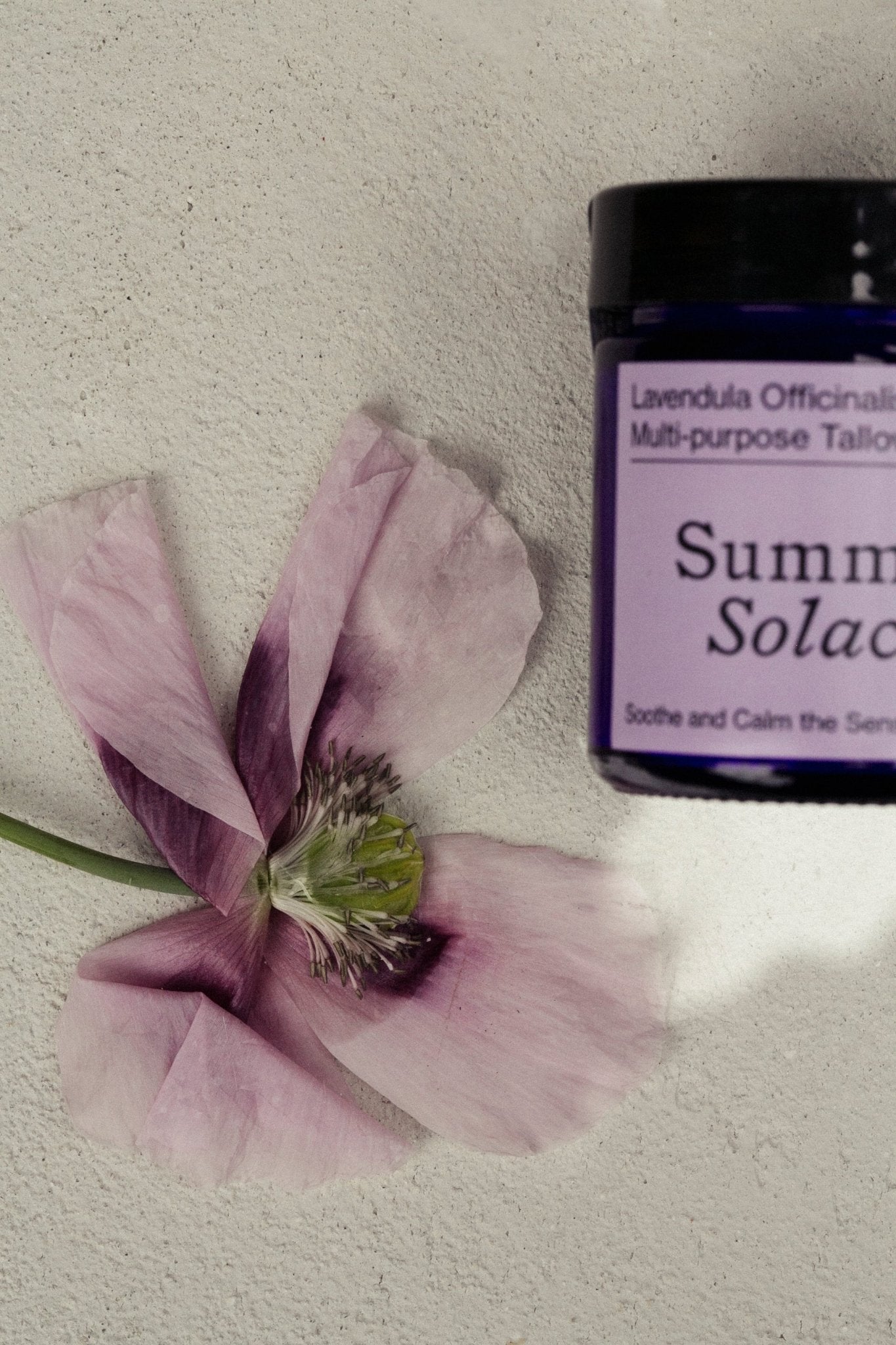 Lavendula Officinalis Tallow Balm