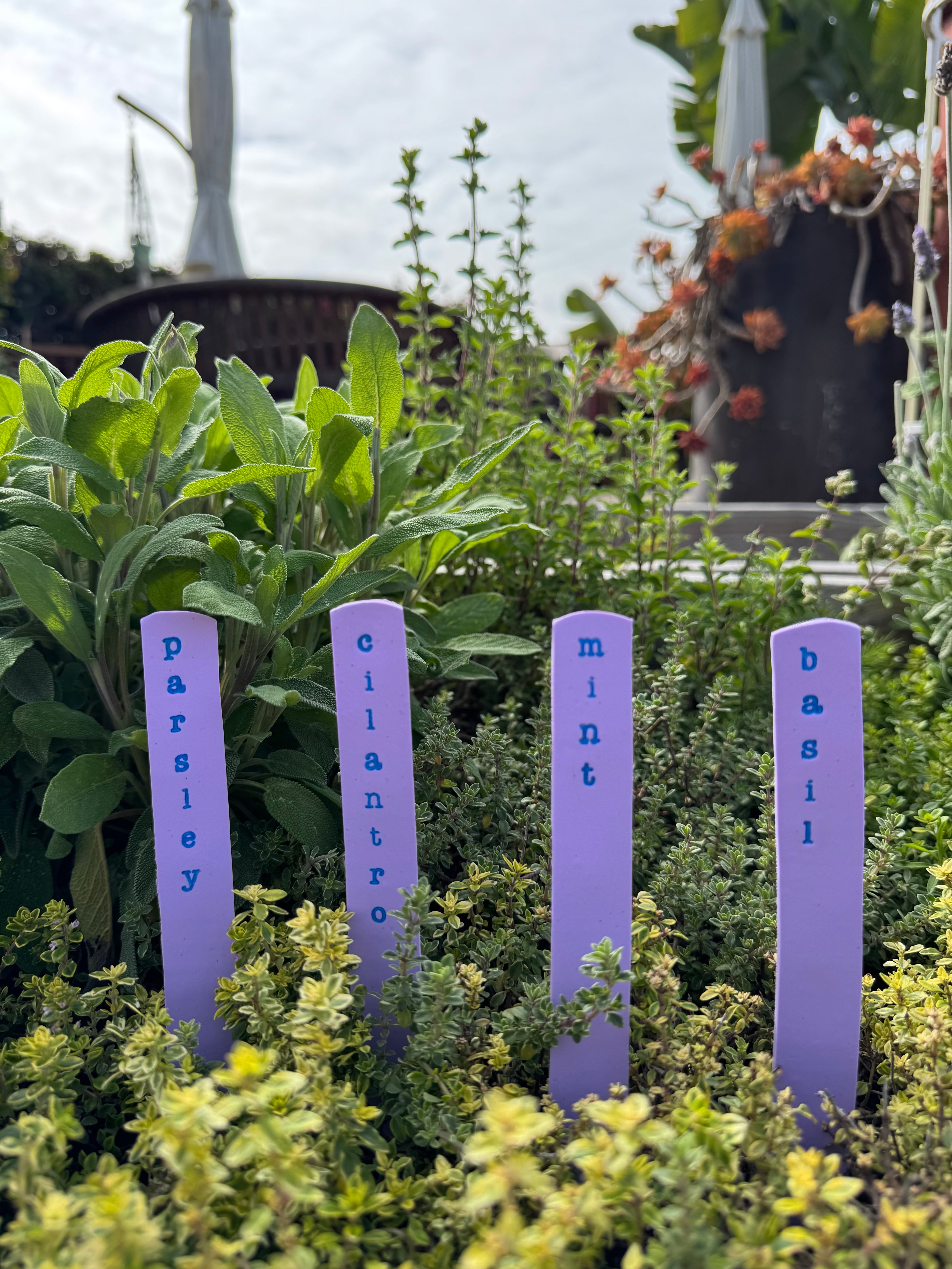 Hardten's Herb Garden Stake Sets-zoom-6