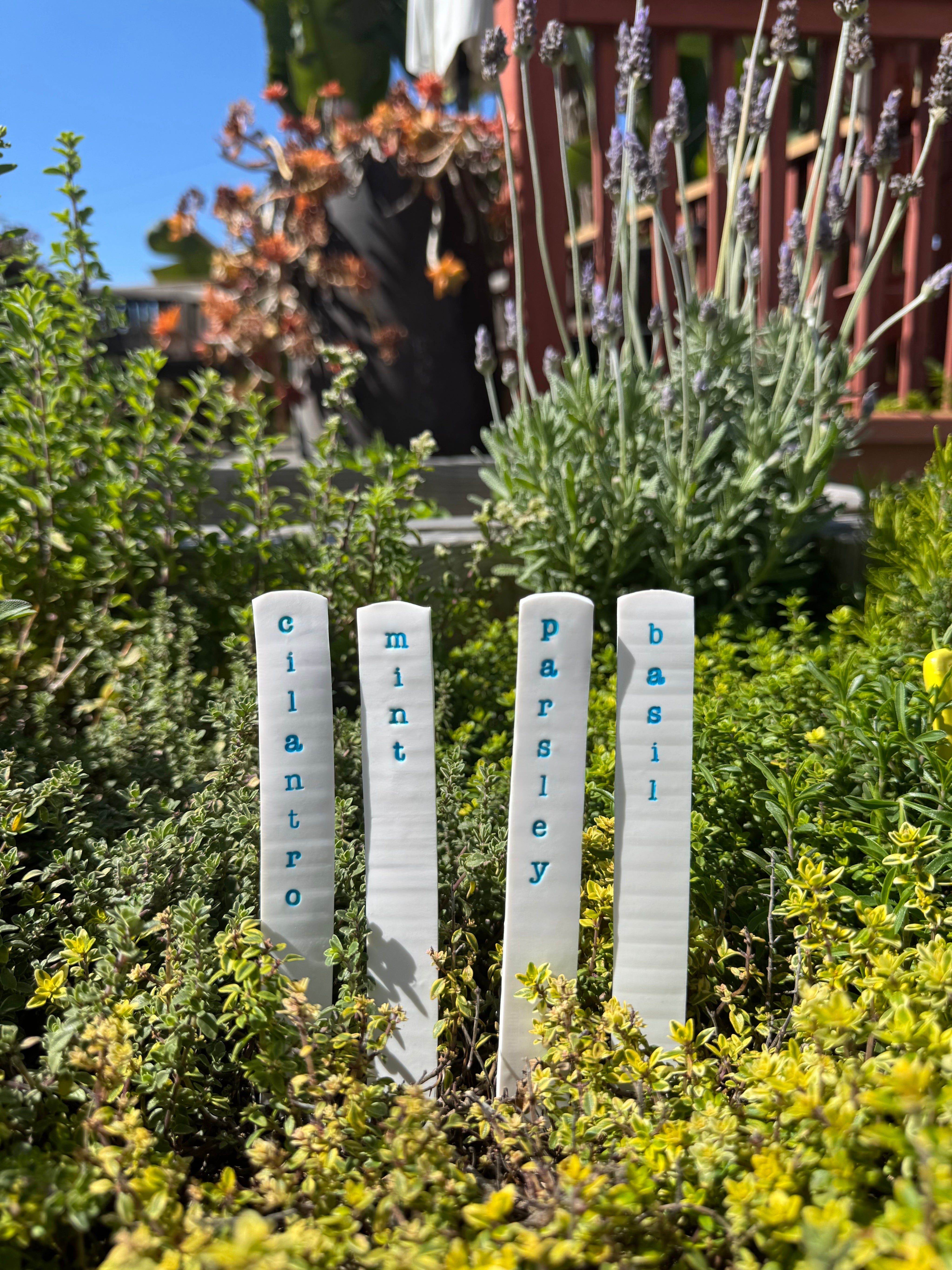 Hardten's Herb Garden Stake Sets-zoom-7