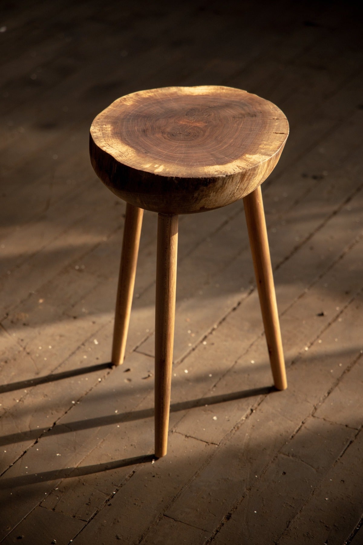 Live Edge Round Side Table | Fossil Table - Aware House