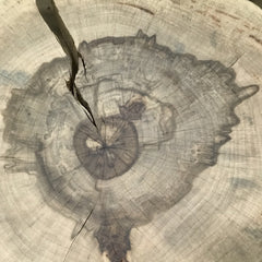 Live Edge Round Side Table | Fossil Table - Aware House