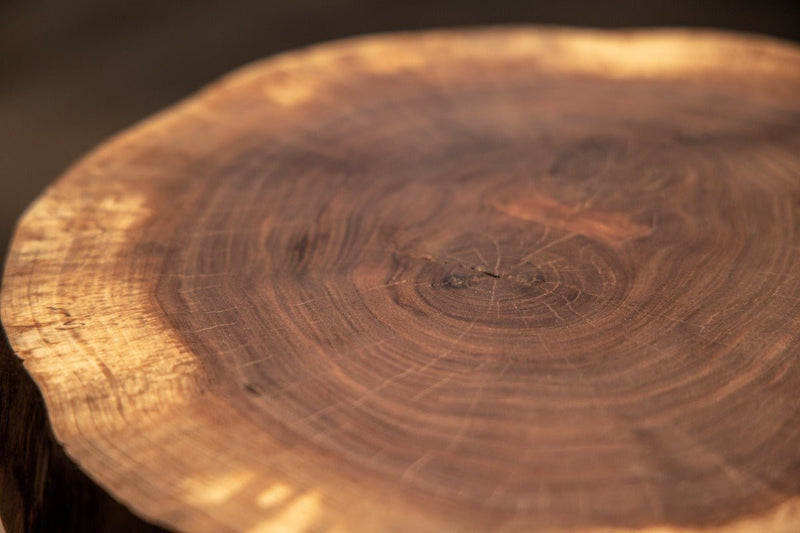 Live Edge Round Side Table | Fossil Table-zoom-