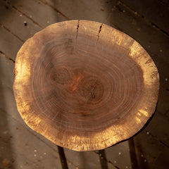 Live Edge Round Side Table | Fossil Table - Aware House