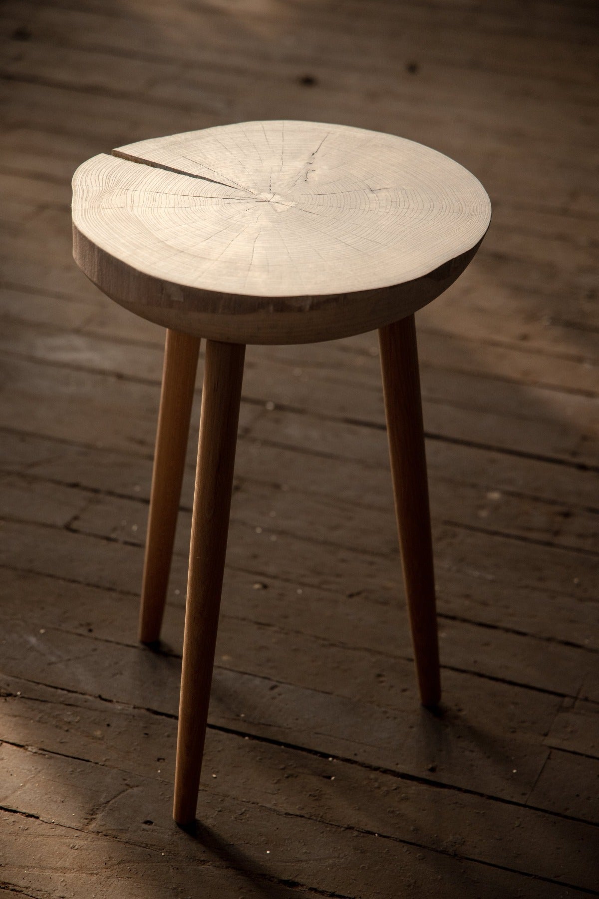 Live Edge Round Side Table | Fossil Table - Aware House