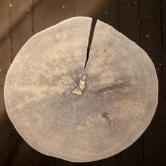 Live Edge Round Side Table | Fossil Table - Aware House
