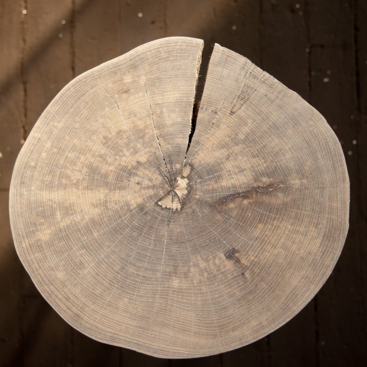 Live Edge Round Side Table | Fossil Table - Aware House