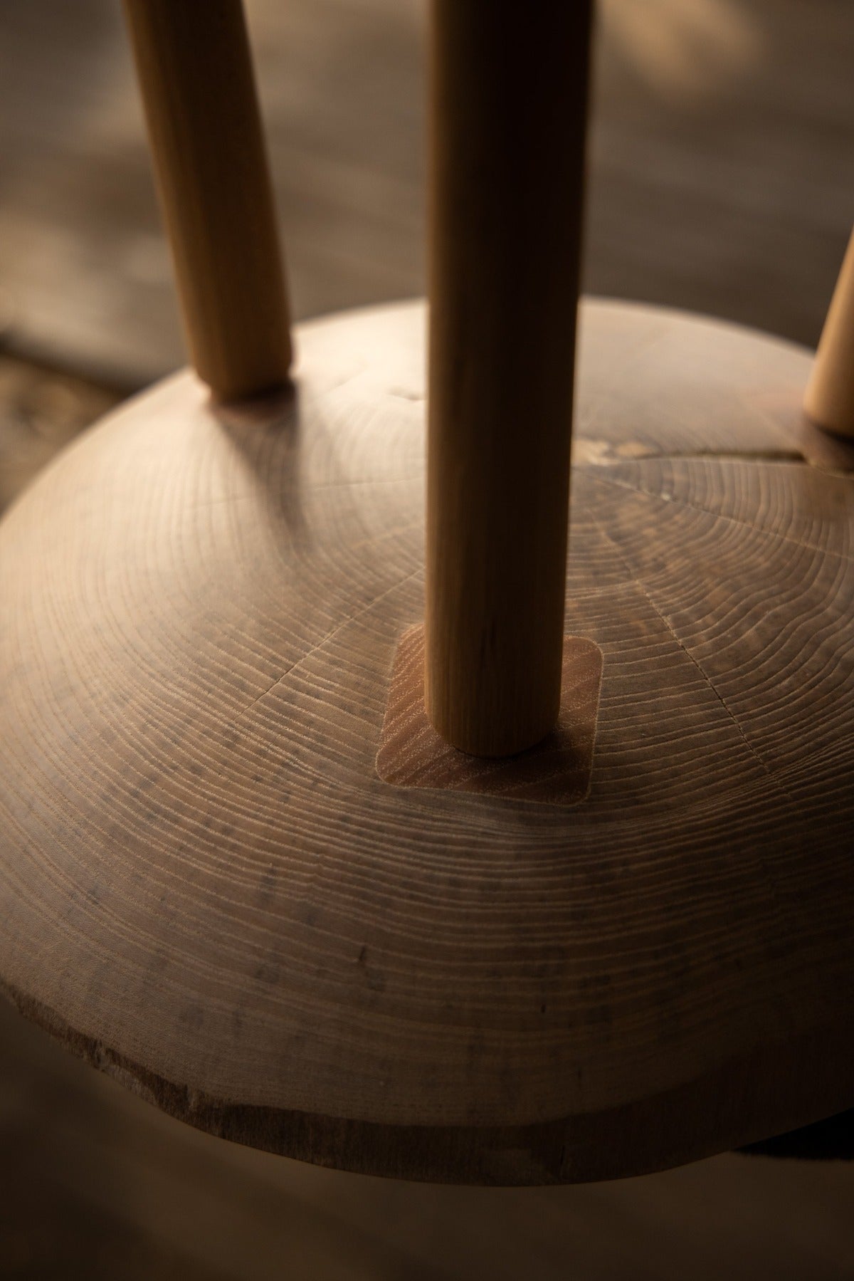 Live Edge Round Side Table | Fossil Table - Aware House