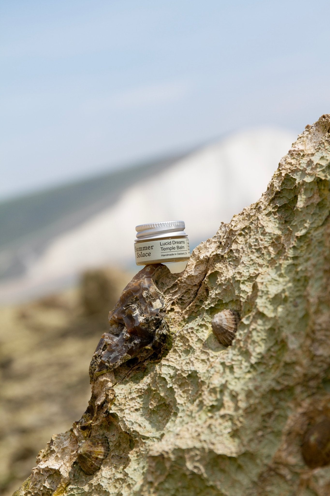Lucid Dreams & Meditation Tallow Balm-3