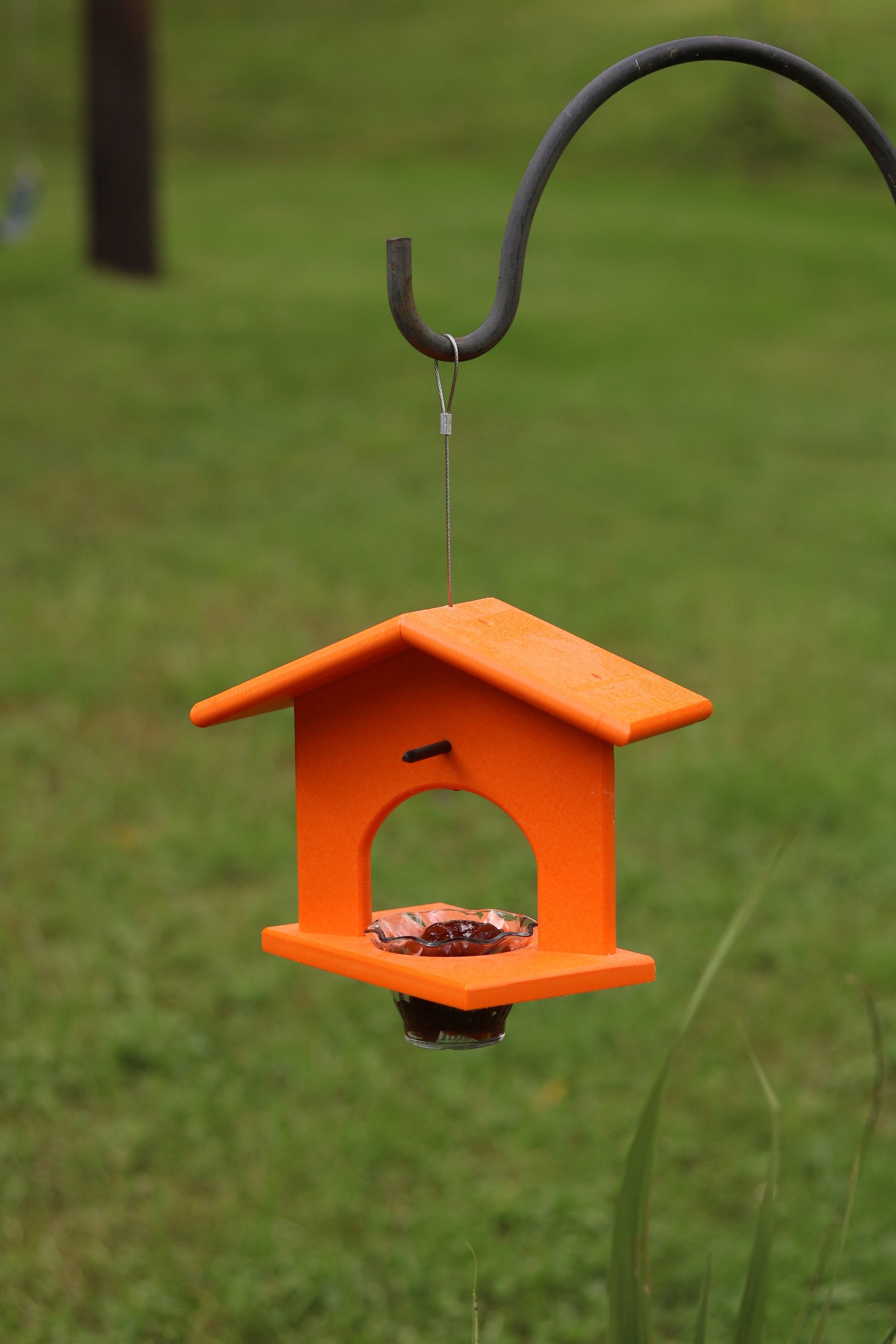 Hanging Oriole Jelly and Orange Bird Feeder | Eco-Friendly Poly Lumber-3