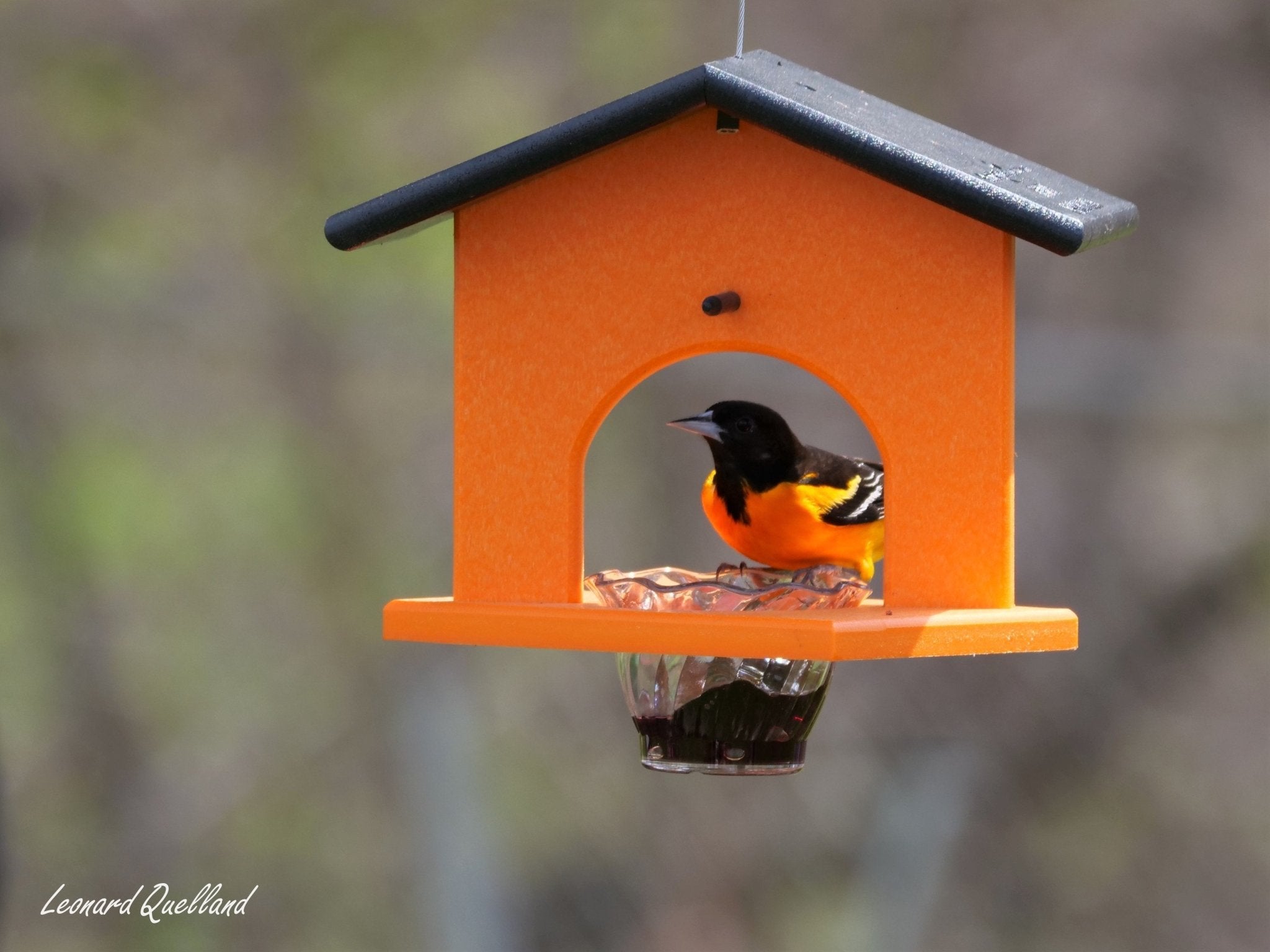 Hanging Oriole Jelly and Orange Bird Feeder | Eco-Friendly Poly Lumber - Aware House - Amish Toy Box -