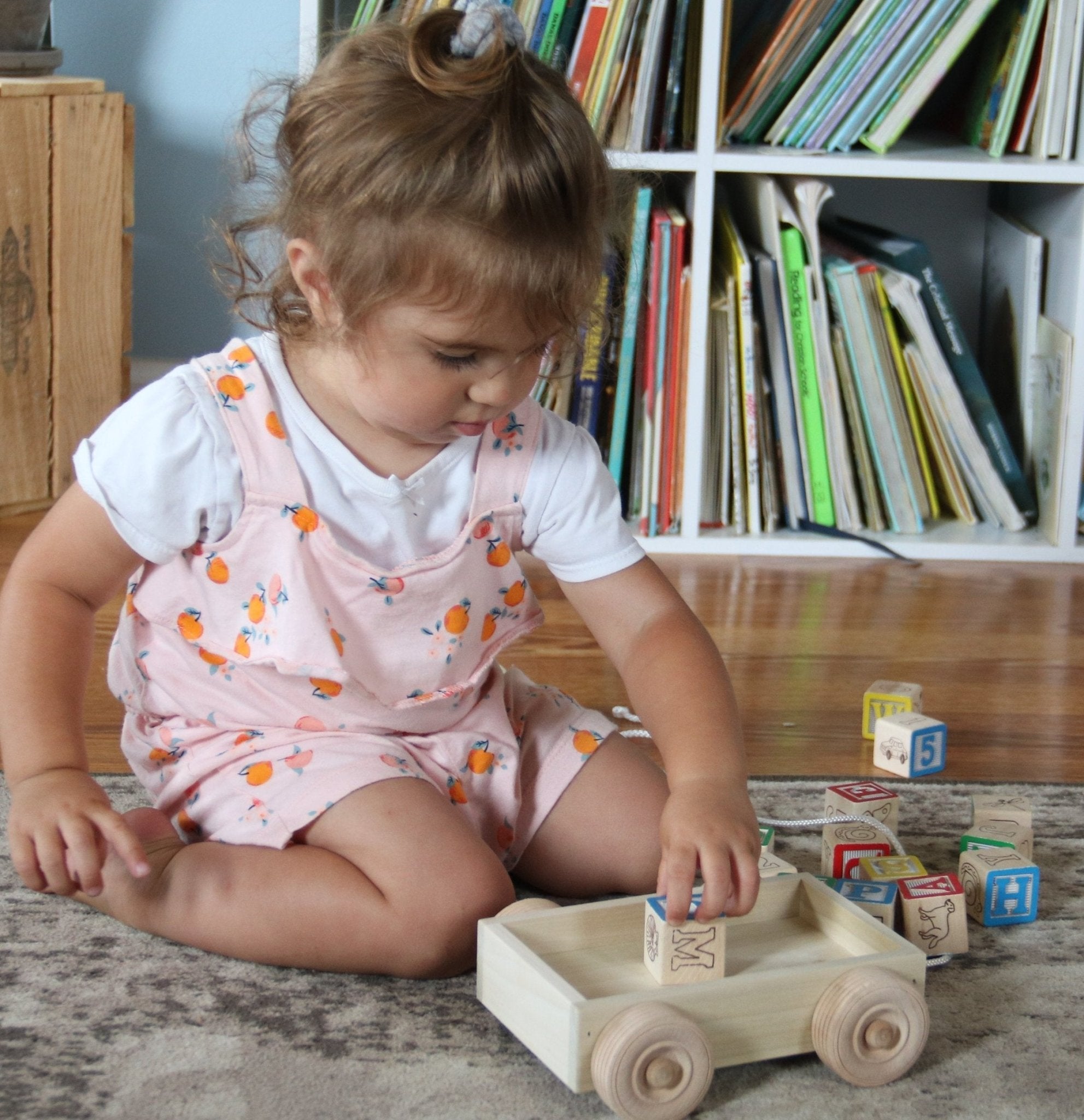 Amish Wooden ABC Block Pull Wagon Toy - Aware House - Amish Toy Box -