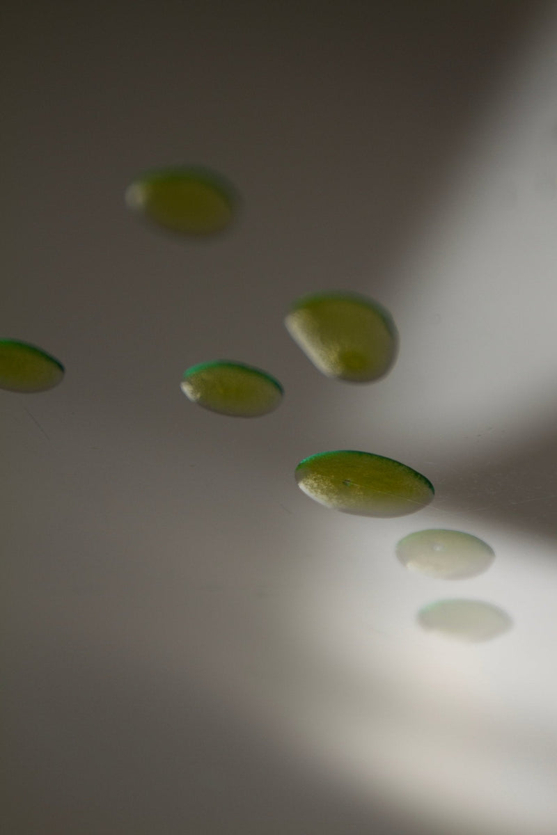 Mountain Song Body + Hair Oil - Limited Edition-zoom-