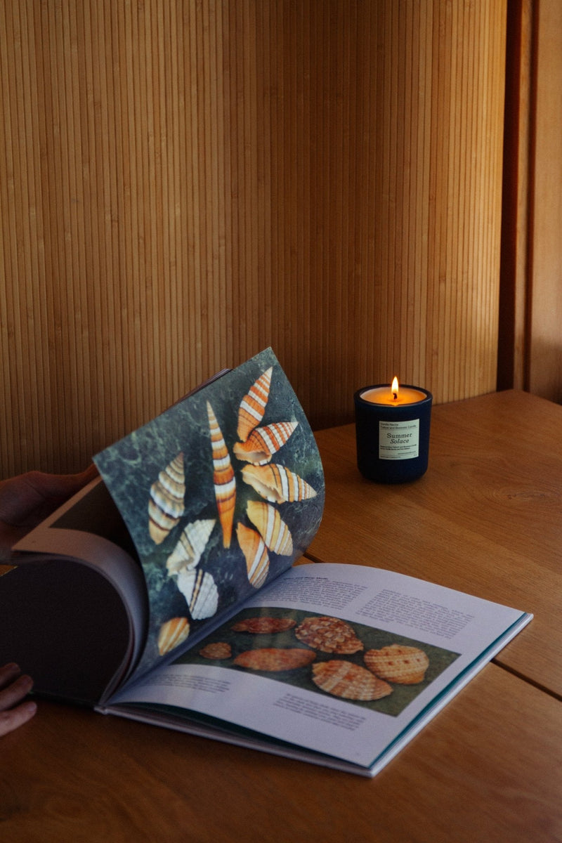 Vanilla Nectar Tallow & Beeswax Candle with Peru Balsam-zoom-