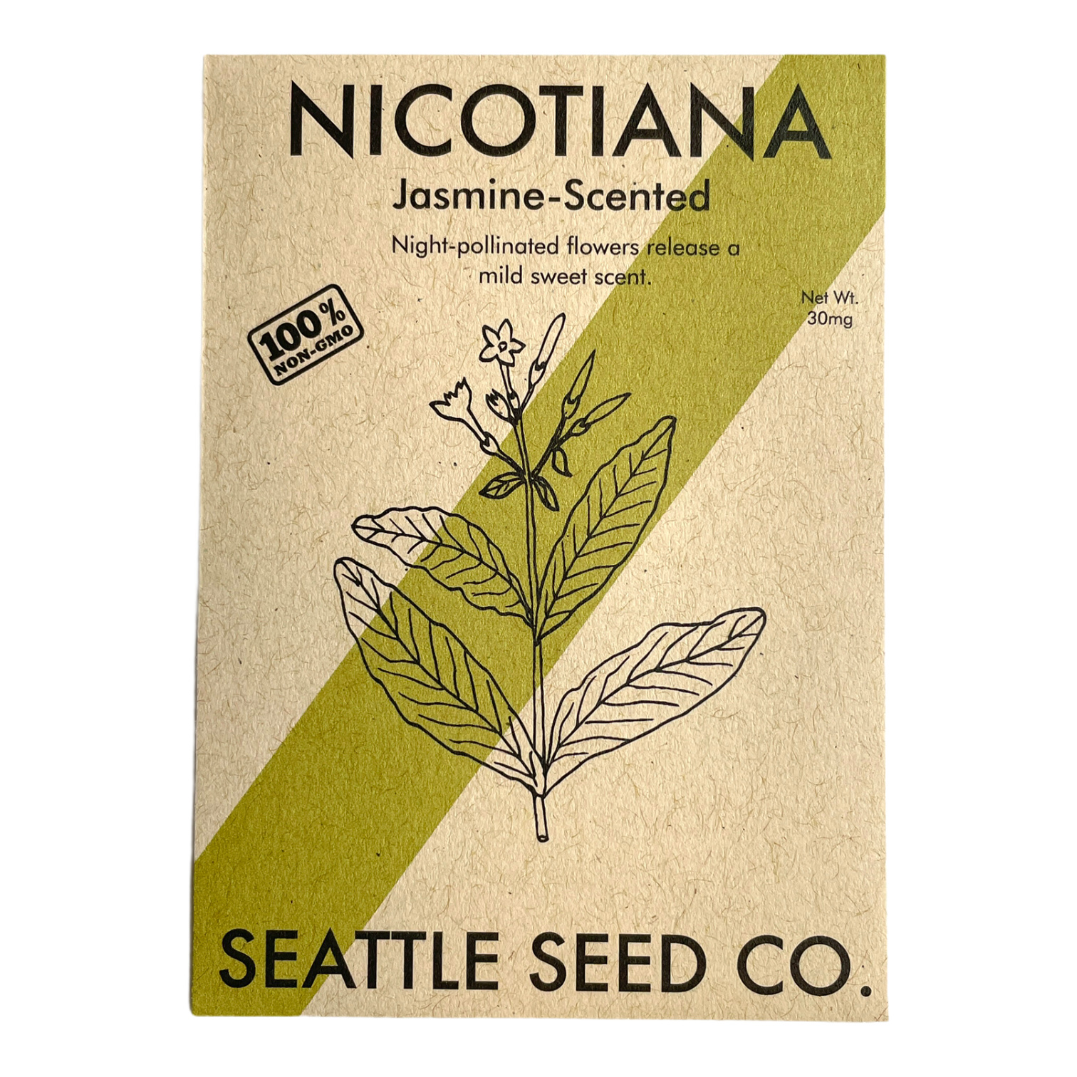 Nicotiana - Jasmine Scented-1