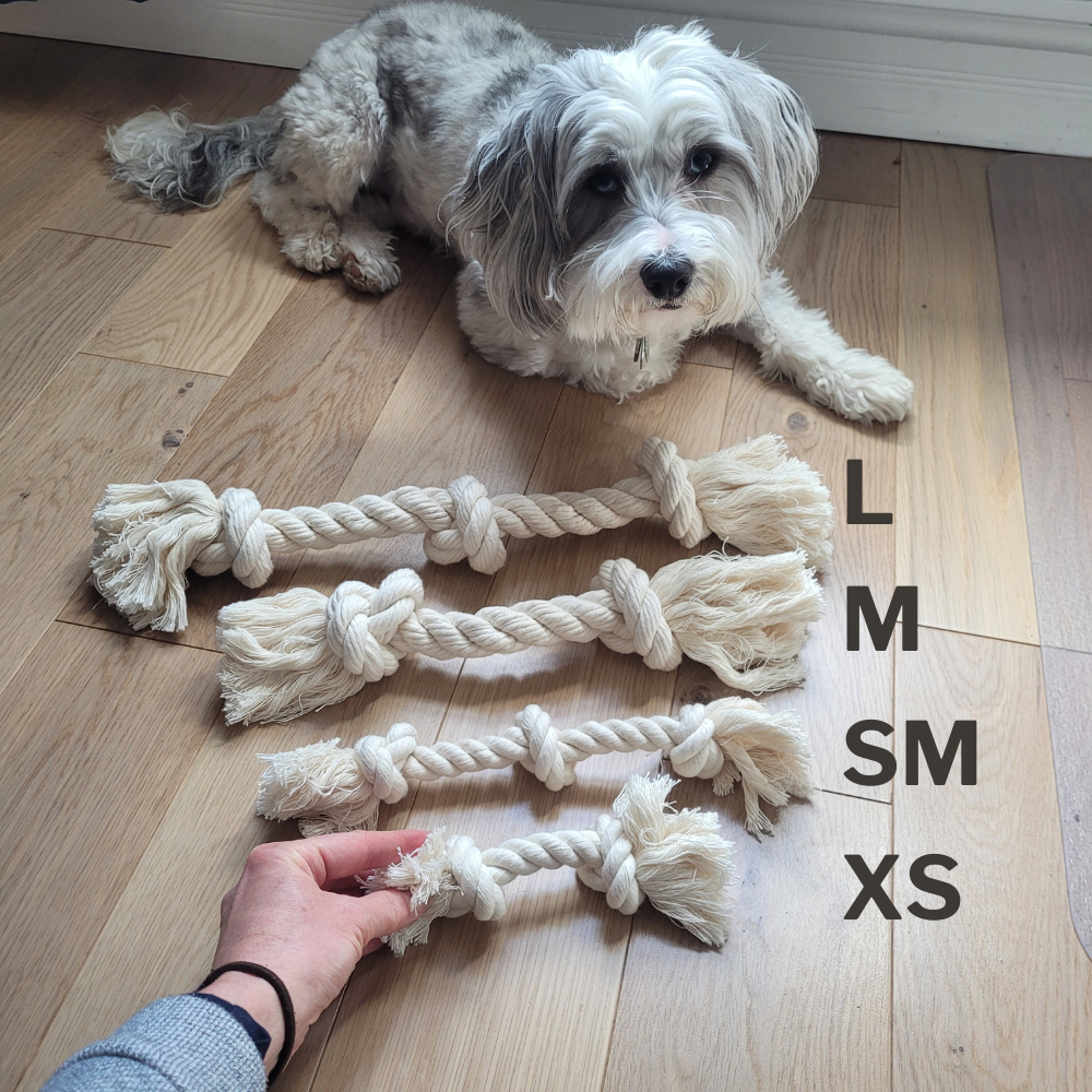 Boba & Vespa Organic Cotton Rope Dog Toy