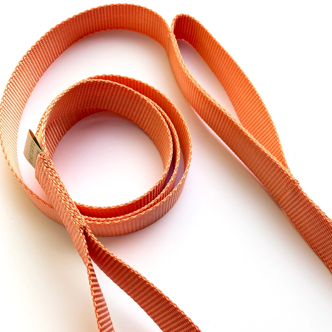 Double-Handle Leash | Traffic Leash
