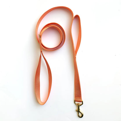 Double-Handle Leash / Traffic Leash