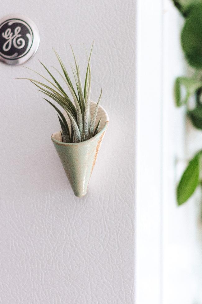 Mini Wall Planter Magnet-6