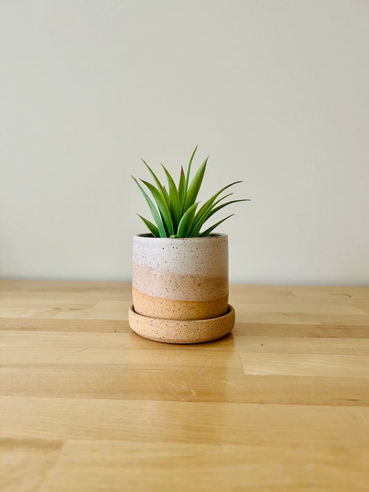 Criss-Cross Cylinder Planter