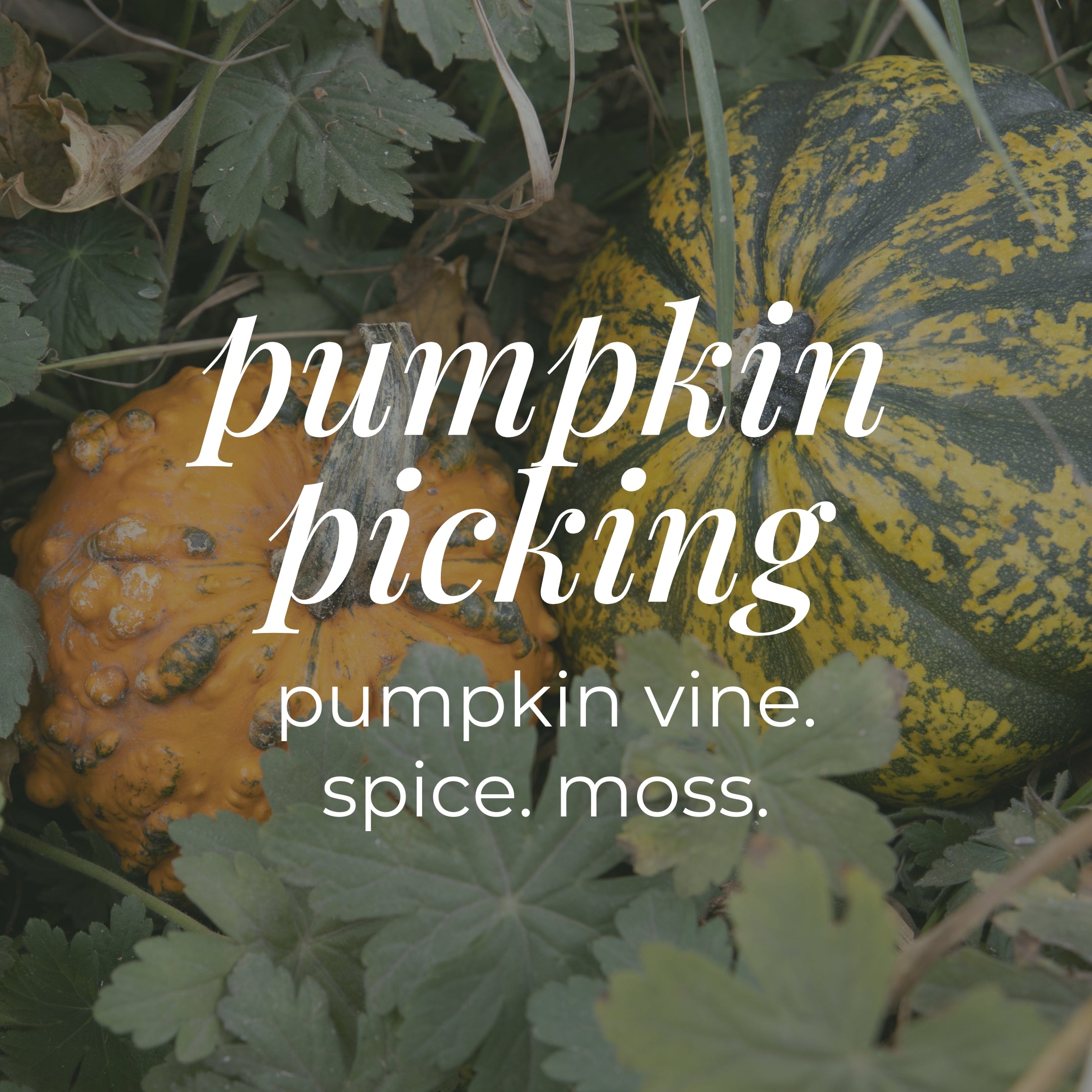 Fall Wax Melt Snap Bars-zoom-3