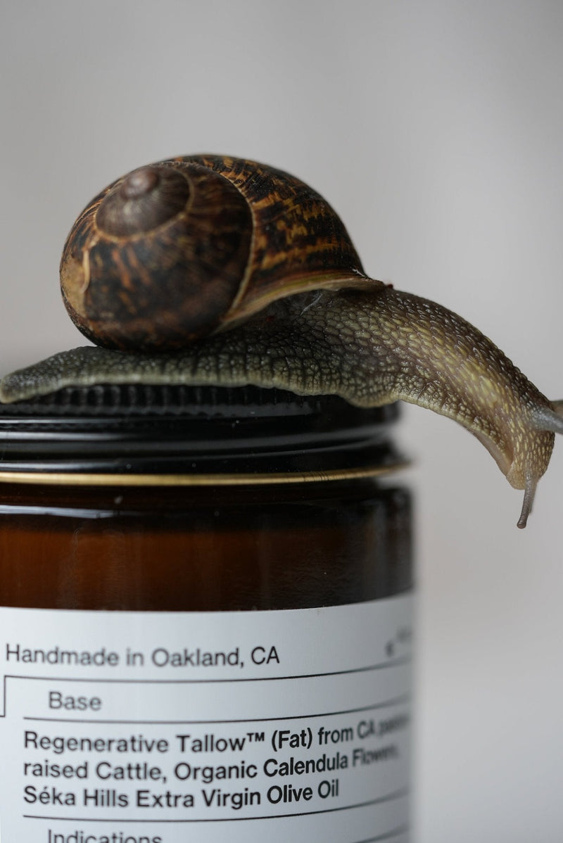 Pure Unscented Tallow Balm-zoom-