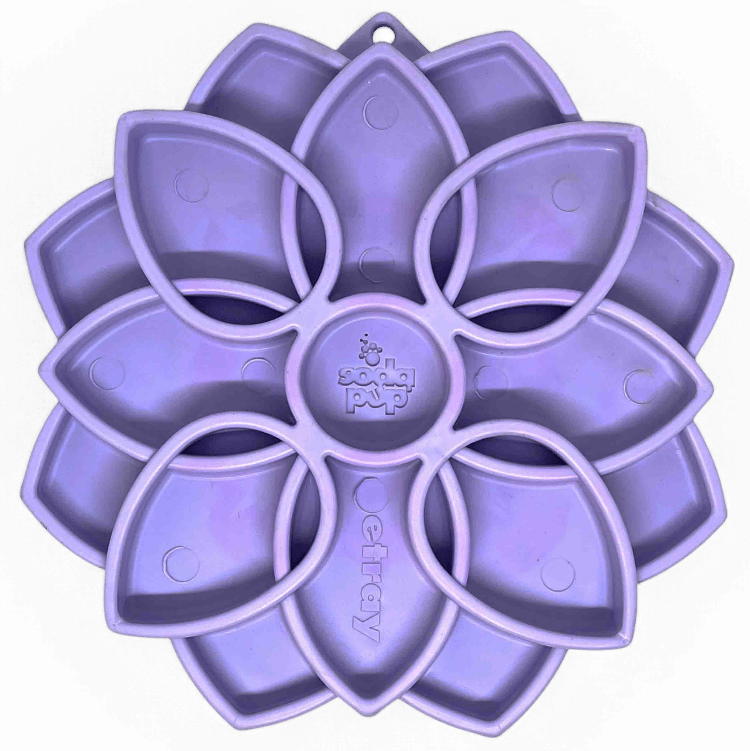Mandala Softie eTray Shallow Slow Feeder Dog Bowl - Aware House