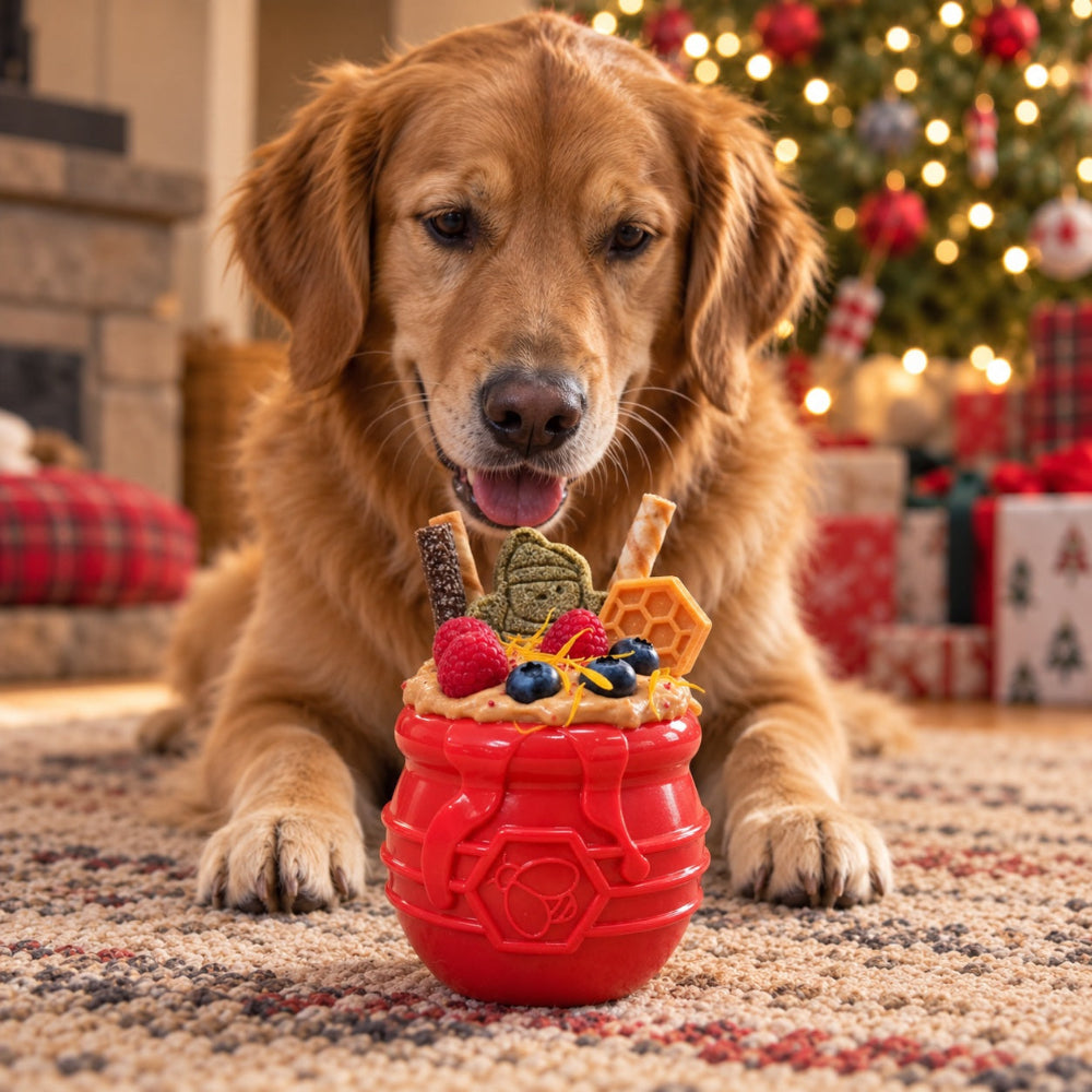 Honey Pot Dog eCup Treat Dispenser-8