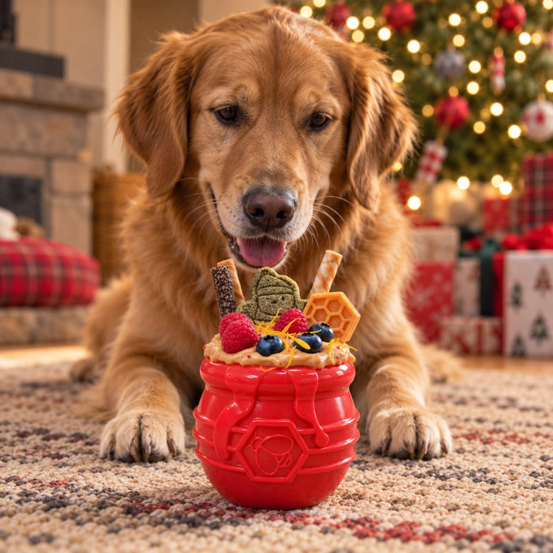 Honey Pot Dog eCup Treat Dispenser-zoom-