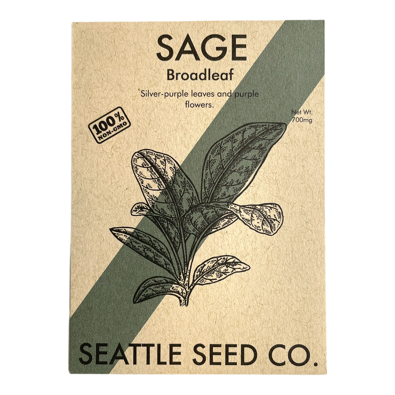 Sage - Broadleaf-zoom-