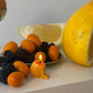 Kumquat Candles | Pack of Eight