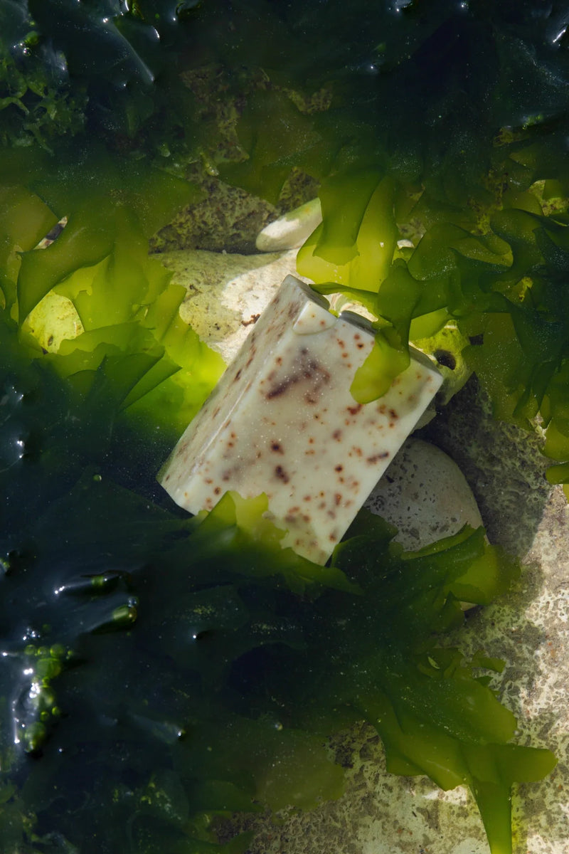 Sea Change Seaweed Tallow Bar Soap-zoom-