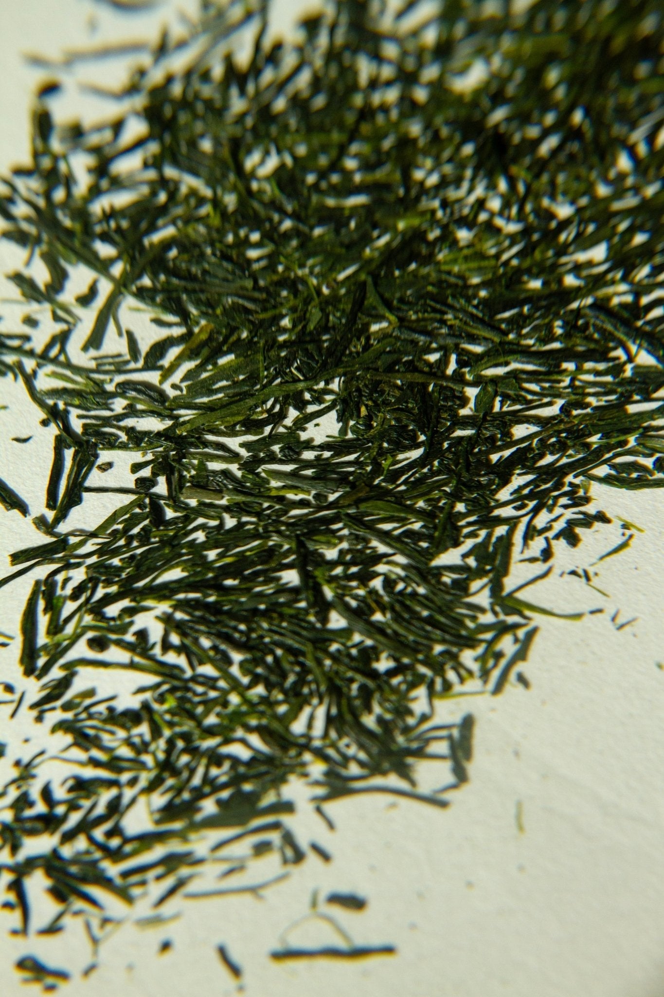Sea Change Seaweed Tallow Bar Soap-zoom-23