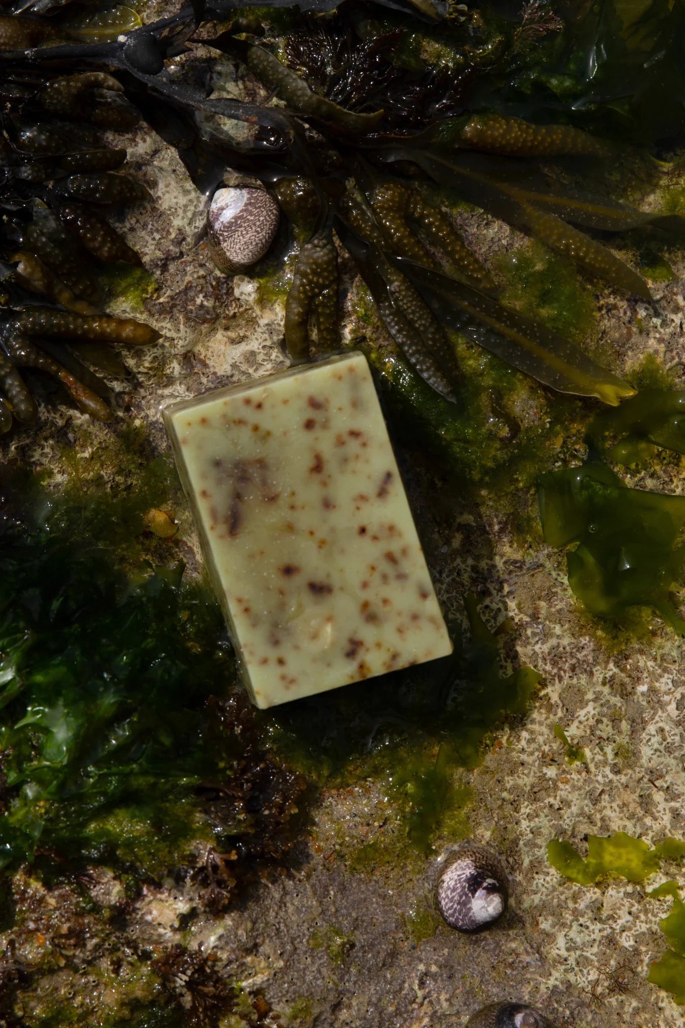 Sea Change Seaweed Tallow Bar Soap-zoom-3