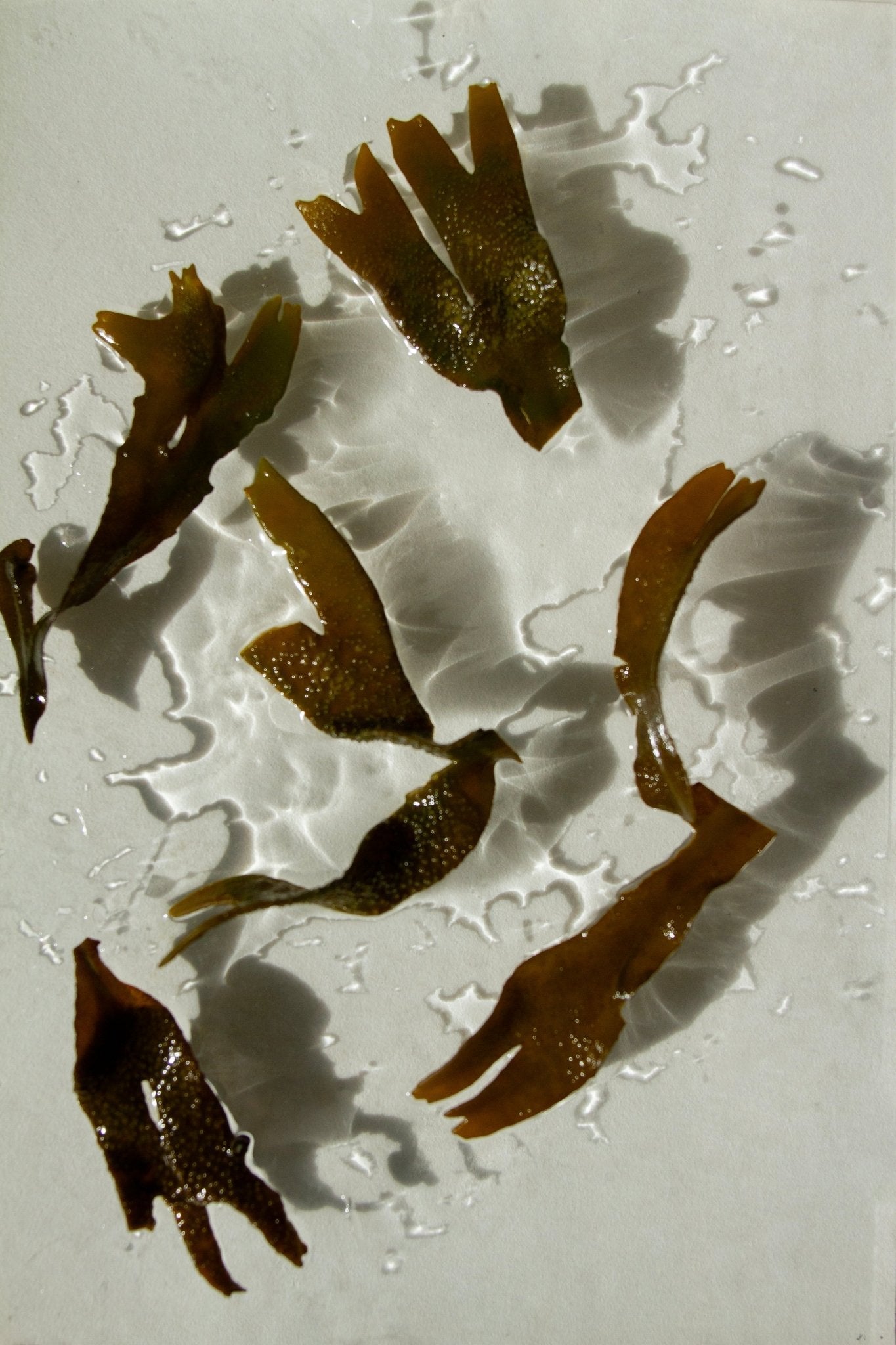 Sea Change Seaweed Tallow Bar Soap-zoom-21