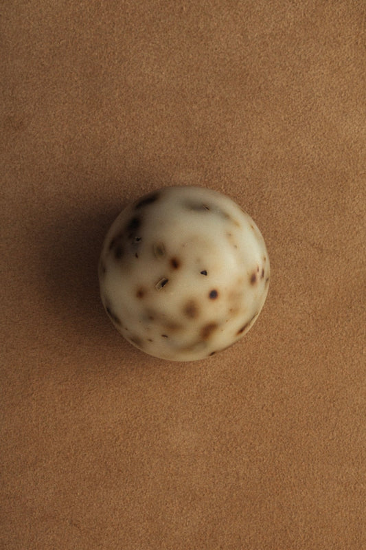 Sea Change Seaweed Sphere Tallow Soap